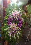 Orchid Arranged Sympathy