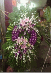 Orchid Arranged Sympathy