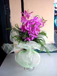 Hoa Lan Purple Orchid Plant Arrangement