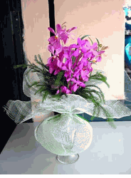 Hoa Lan Purple Orchid Plant Arrangement