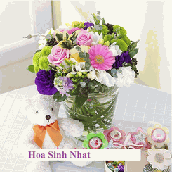 Hoa Sinh Nhat 
