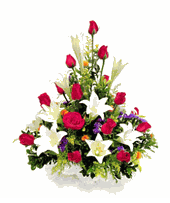 Hoa sinh Nhat