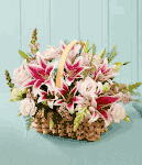 Hoa Sinh Nhat Birthday flower