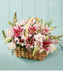 Hoa Sinh Nhat Birthday flower