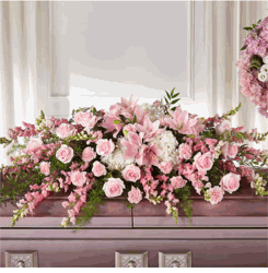 Hoa Tuong Niem Life & Remembrance