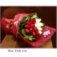 Hoa tnh Yeu 