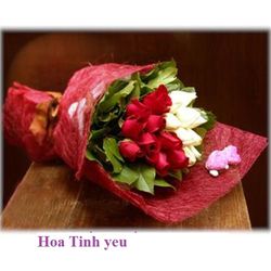 Hoa tnh Yeu 