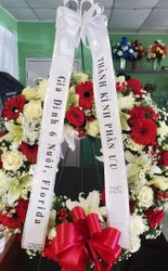 THANK KINH PHAN UU - HOA TRON