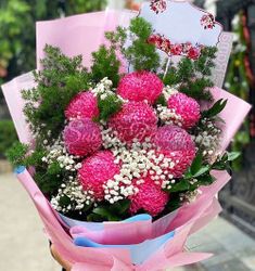 peony-chrysanthemum-cuc-mau-don.