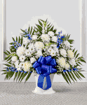 Blue & White Sympathy 