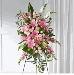Hoa Chan Thanh- t�nh y�u ch�n th�nh