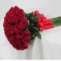 Red Rose