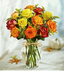  Autumn Roses