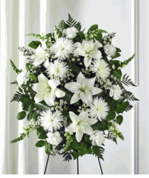 White Floral 