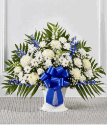Blue & White Sympathy 