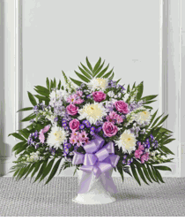 Lavender & White