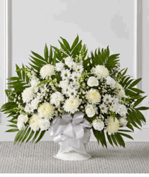White Sympathy
