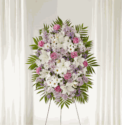 Love Standing Spray- Hoa Tinh Yeu