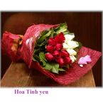 Hoa Tinh Yeu