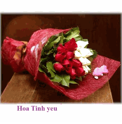 Hoa Tinh Yeu