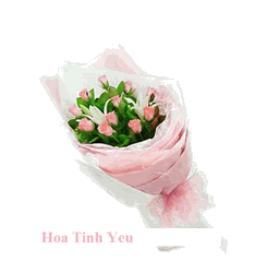 Hoa Tinh yeu