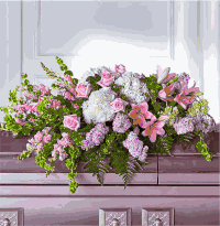 Hoa tri n Casket Flower