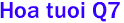  Hoa tuoi Q7