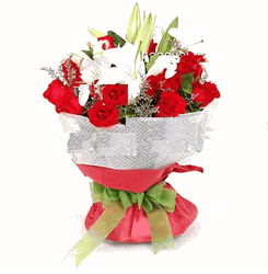 hoabo_rose