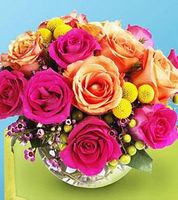 Hot pink roses
