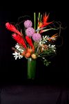 Hotel, Restaurant, Club, Office Flowers 