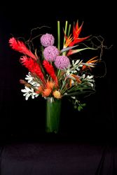 Hotel, Restaurant, Club, Office Flowers 