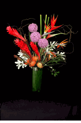 Hotel, Restaurant, Club, Office Flowers 