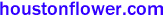 houstonflower.com