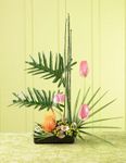 Island Breeze Arrangement 