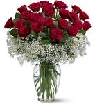 Just Because Red Rose