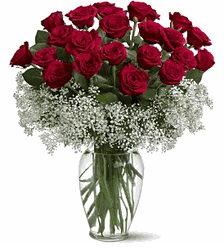 Just Because Red Rose