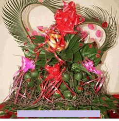 Ket rong phung Dragon fruits Arrangement Hoa Cuo'i