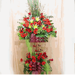 khaitruong_chry_15