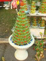 Lage layer Bamboo 2 pots 