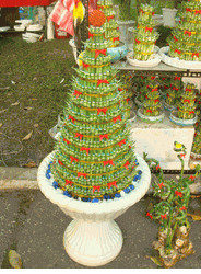 Lage layer Bamboo 2 pots 