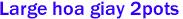 Large hoa giay 2pots
