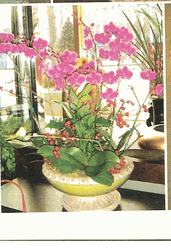 Large Orchid Bouquet