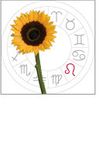 leo: july 23 - august 22