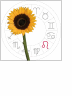 leo: july 23 - august 22