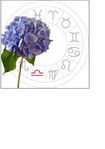 libra: september 24 - october 23