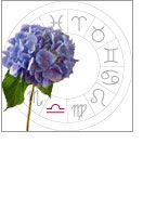 libra: september 24 - october 23