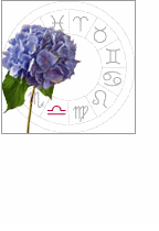 libra: september 24 - october 23