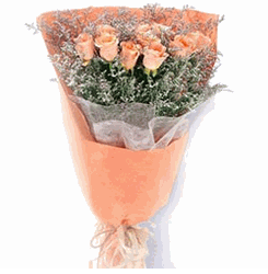 light Pink Rose