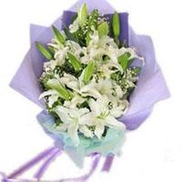 Lilies 