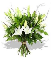lilies